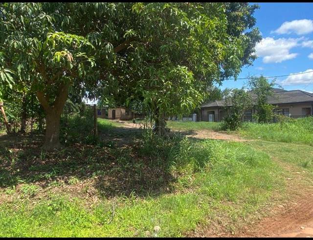 LAND FOR SALE IN SHAYANDIMA